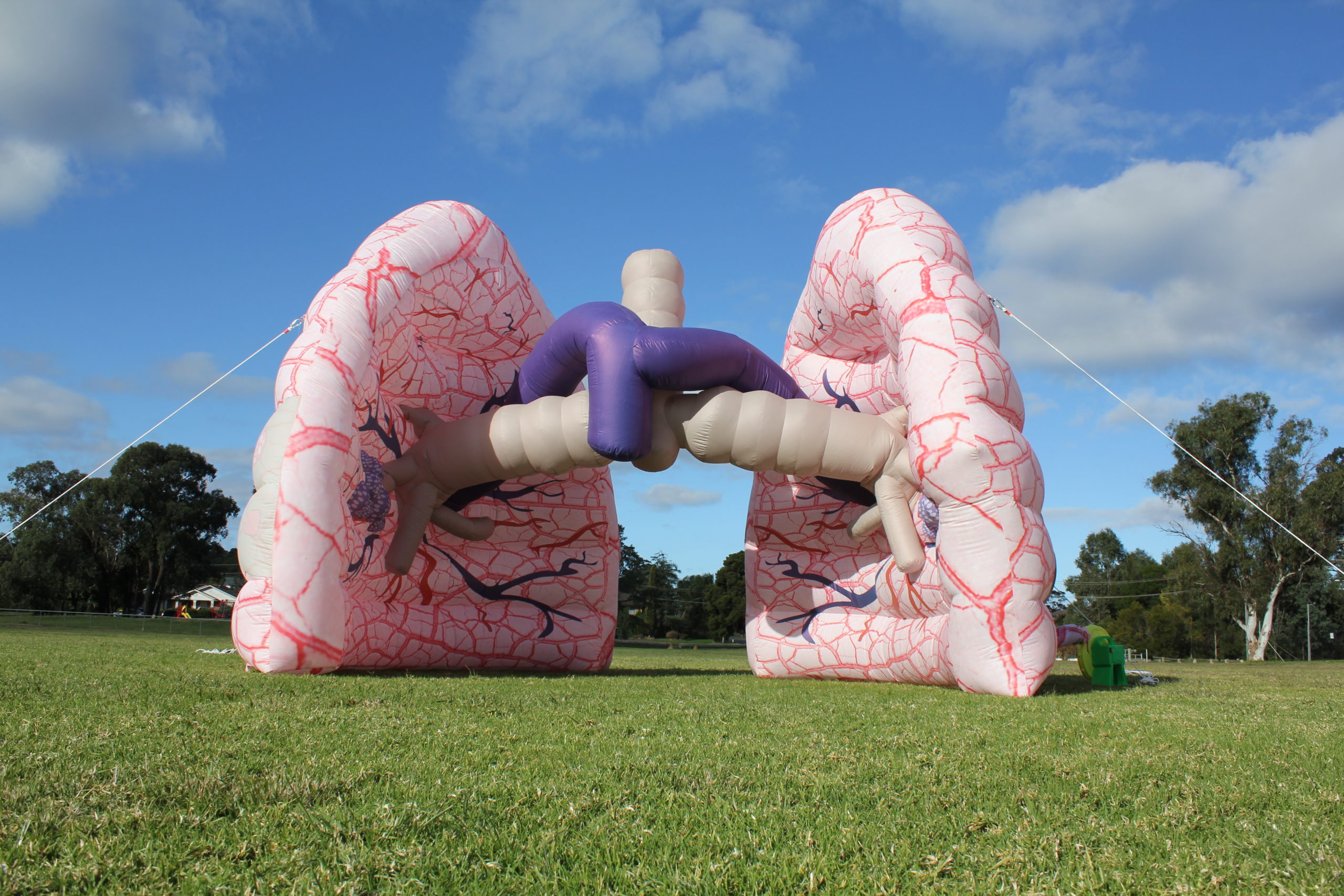 Incredible Lungs Inflatable
